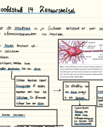 Hoofdstuk 14 zenuwstelsel VWO biologie