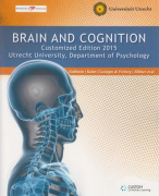 Samenvatting Hersenen & Cognitie (Brain & Cognition)