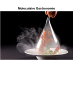 Moleculaire Gastronomie Antwoorden