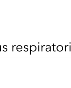 Tractus respiratorius ademhalinsstelsel
