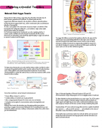 Physiology of Neonatal Adaptation – Comprehensive Medical Summary