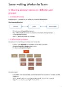 Samenvatting Werken In Team (WIT)