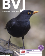 Biologie Voor Jou (7e editie): samenvatting 5VWO - Thema 10: DNA 