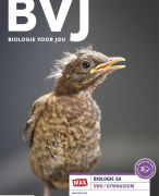 Biologie Voor Jou (7e editie): samenvatting 5VWO - Thema 8: Gedrag