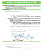 Essential CNS & Cardiovascular Pharmacology Notes