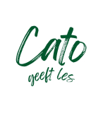 Cato's complete les over Werkwoorden vervoegen