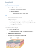 Sensorisch systeem - anatomie en fysiologie 