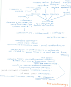 samenvatting: gehoor en evenwicht - therapie (handgeschreven) 