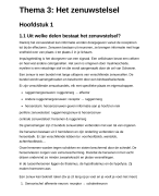 Het zenuwstelsel - 3e jaar ASO