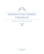 Samenvatting formeel strafrecht werkgroepen
