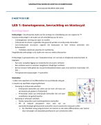 Samenvatting embryologie Geneeskunde UA BA1SEM2 2025-2026
