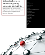 Scriptie: netwerkontwikkeling en netwerkopbouw in de psychiatrie.