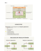 Geneeskunde Kwartiel 1 Saxion