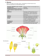 Samenvatting - Biologie (bvj) - HAVO/VWO 1 - thema 7 - bloemen, vruchten en zaden - compleet