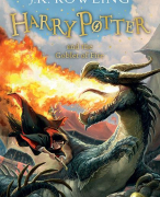 Harry Potter and the goblet of fire J.K. Rowling Boekverslag/Bookreport