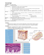 Dermatologie samenvatting Link Geel