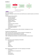 Principes van Marketing samenvatting