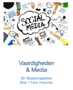 Maatschappijleer Vaardigheden & Media