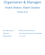 Samenvatting organiseren en managen