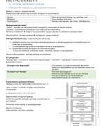 Samenvatting Methodieken 2 