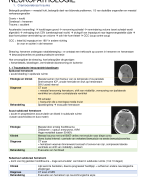 Samenvatting van Neuropathologie