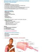 Anatomie H7: Het spierstelsel