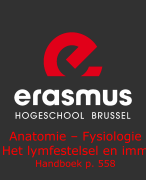 anatomie Hoofdstuk 13: bloedvaten