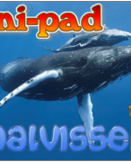 Antwoordblad Minipad walvissen