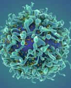 Mindmaps immunology 