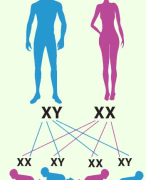 Biologie Nectar VWO4 Hoofdstuk 6