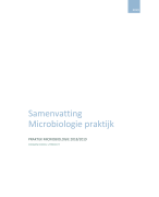 Hogeschool Utrecht Microbiologie praktijk tentamen 2018/2019