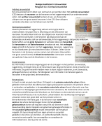 VWO Nectar Biologie Hoofdstuk 14 'Zenuwstelsel