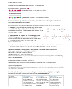 Samenvatting scheikunde: polymeren H10