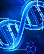 Biologie VWO 5 Thema 2: DNA (Biologie voor jou)