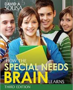 Samenvatting How the special needs brain learns