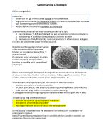 Samenvatting Celbiologie (Histologie)