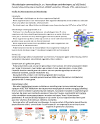 Samenvatting Microbiologie (Toxicologie)