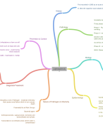 Mindmap of Leptospirosis Disease Study Guide