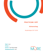 Practicum 2 SPP: Opdracht adviesverslag opstellen (casus Jonas)