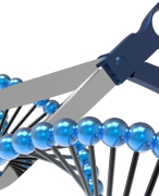 beschouwing CRISPR-Cas techniek