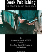 Media Landscape Map Report