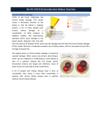 MIN10 Diagnostics & molecular research in kidney disease (clinical part)