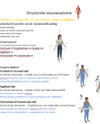 neuroanatomie samenvatting structurele neuroanatomie
