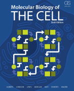 Samenvatting Molecular Biology of The Cell 6e editie: Hoofdstuk 4, 5, 6 en 7