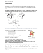 Orthopedische chirurgie 3.3 t/m 3.3.3, H4, 15.1, H17, H18 tot 18.3 & H19 tot 19.2