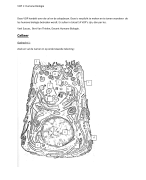 VOP 1 Humane Biologie