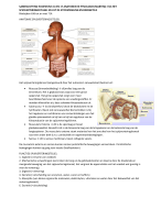 Samenvatting Anatomie en fysiologie, Martini. Globale samenvatting van hoofdstuk 16 en (deels) 17