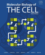 Samenvatting Molecular Biology of The Cell 6e editie: Hoofdstuk 12, 13, 15, 17, 18, 19, 20 en 22