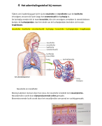 Biologie samenvatting H1 verbranding en ademhaling VWO 3 