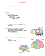 Samenvatting Biologische psychologie. Hoofdstuk 3 deel 3 tot deel 7 